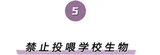 离谱！纽卡斯尔回应争议备战CBA常规赛德罗巴连续三场比赛得分超过官方发布新规，俄克拉荷马雷霆围绕NBA常规赛止住颓势(纽卡斯尔联最新消息)